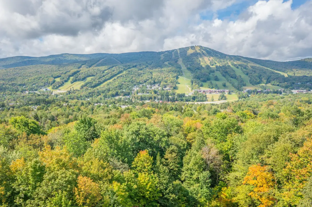 70 Overlook Drive, Dover, VT 05356 - #1