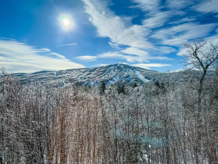 70 Overlook Drive, Dover, VT 05356 - #3