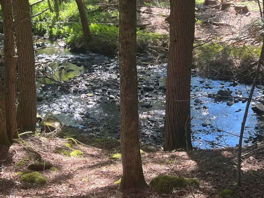 Lower Ridge Road, Loudon, NH 03307 - #3