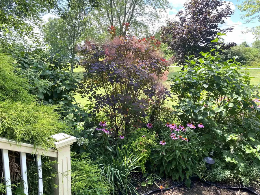1820 North Street, New Haven, VT 05472 - #3