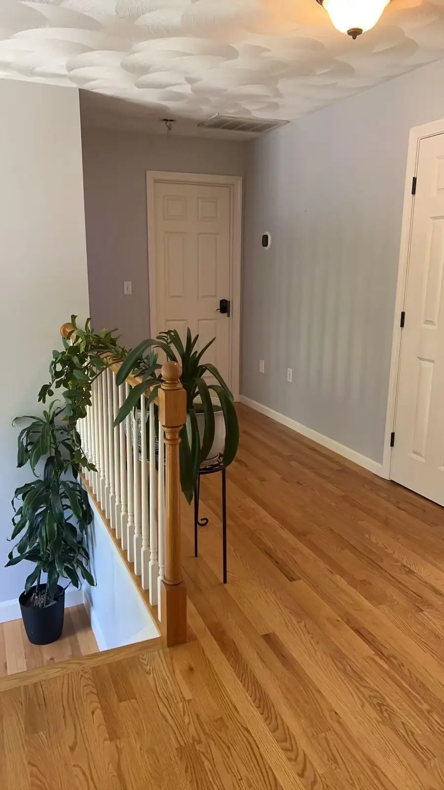 5 Glenwood Road, Windham, NH 03087 - #3