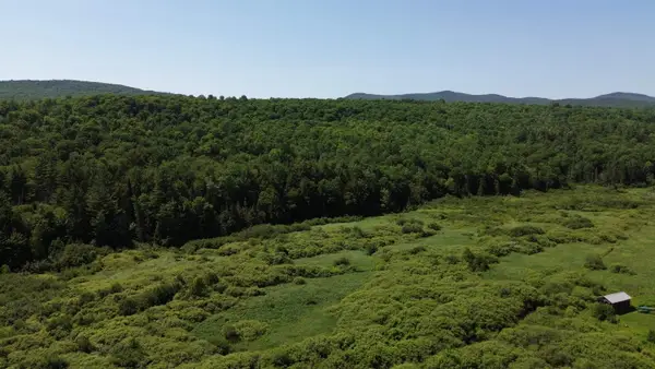 Lot 0 Roxbury Road, Roxbury, VT 05669