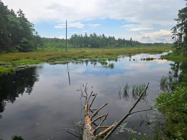 Lot 14 & 14.1 Brownfield Road, Conway, NH 03813