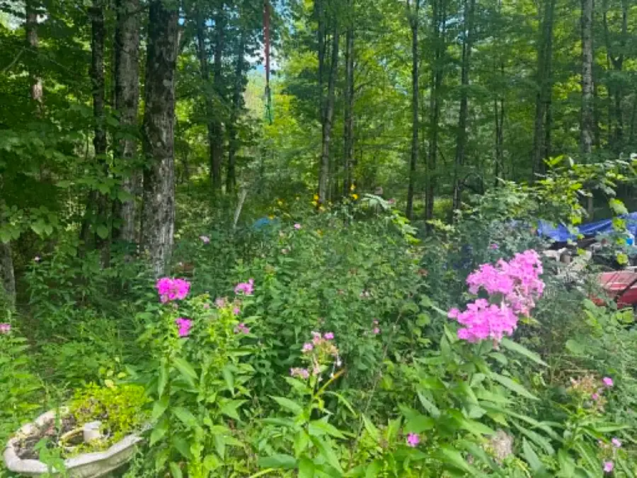191 River Street, Poultney, VT 05764 - #2