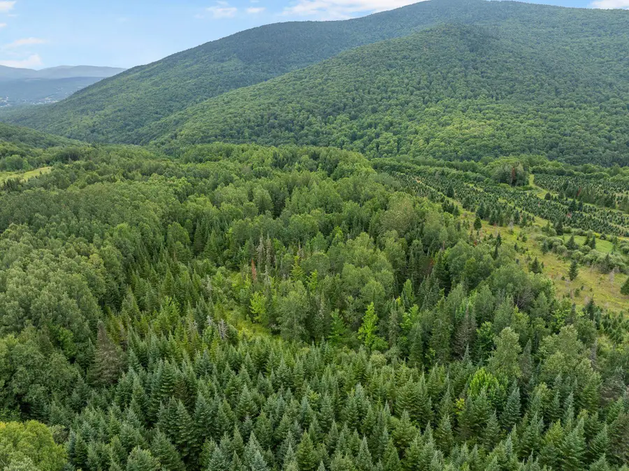 - Todd Hill Road, Lemington, VT 05903 - #3