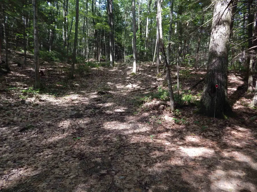 Oxbow Road, Hinsdale, NH 03451 - #2