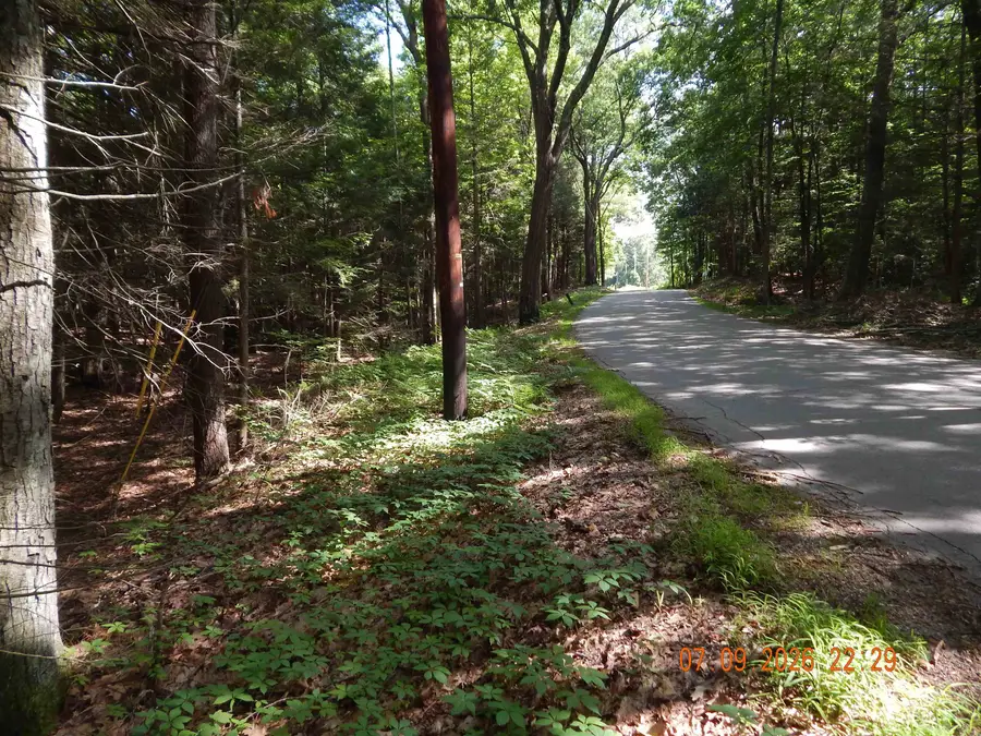 Oxbow Road, Hinsdale, NH 03451 - #3