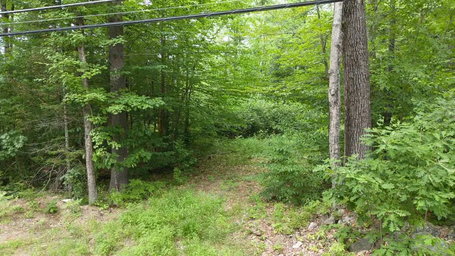 Lot 1,2,3 Colcord Hill Road, Effingham, NH 03882 - #3