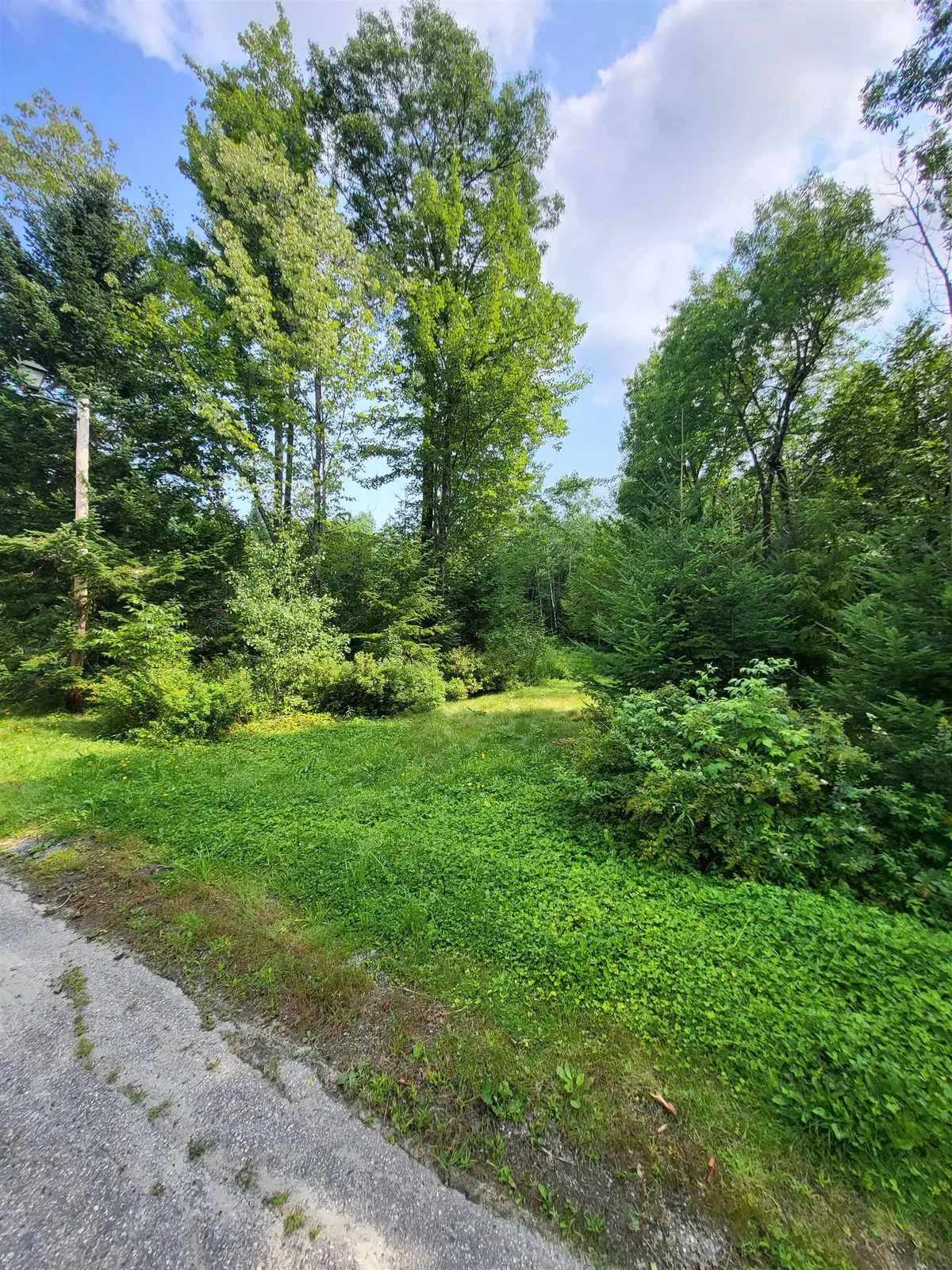 Noyes Street, Bethlehem, NH 03574 - #1