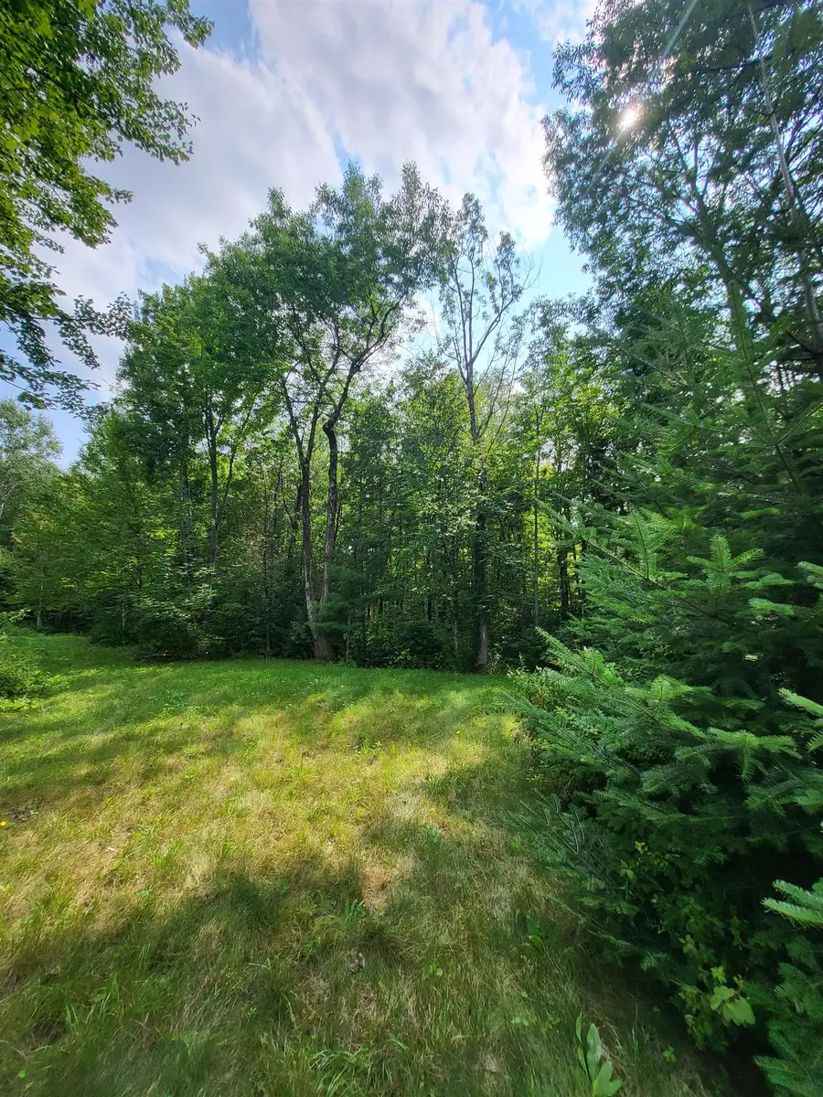 Noyes Street, Bethlehem, NH 03574 - #3