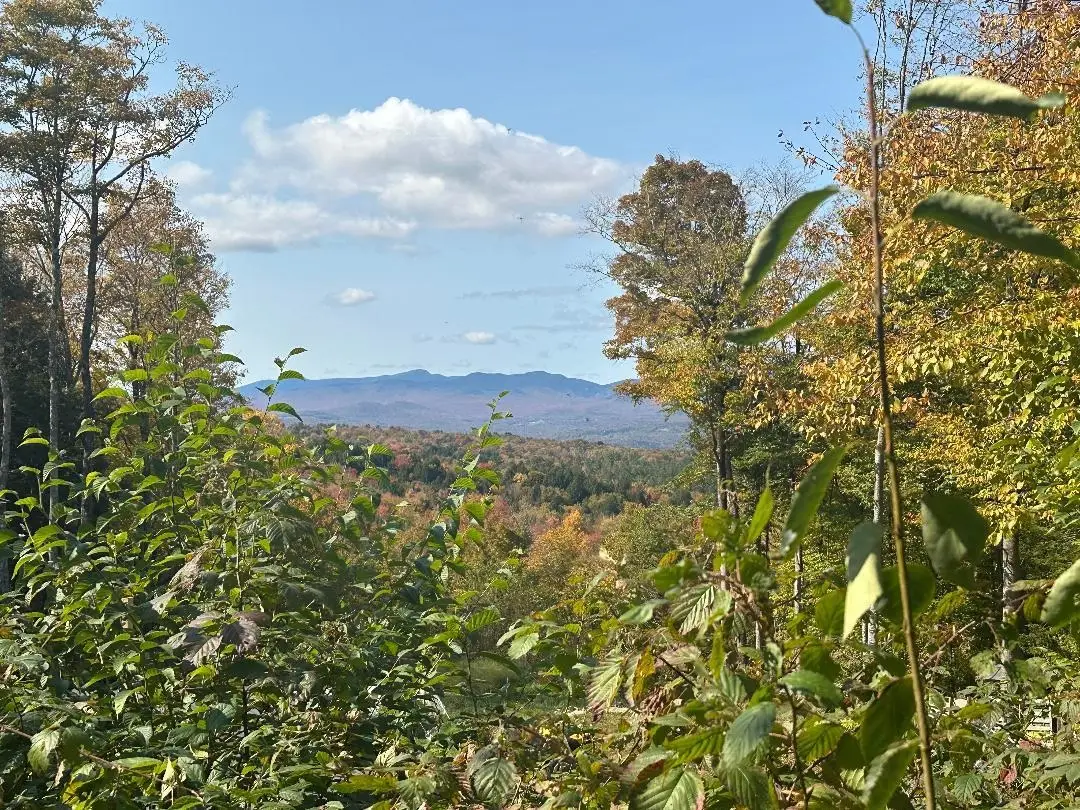 0 Brookview Lane, Wolcott, VT 05680 - #1