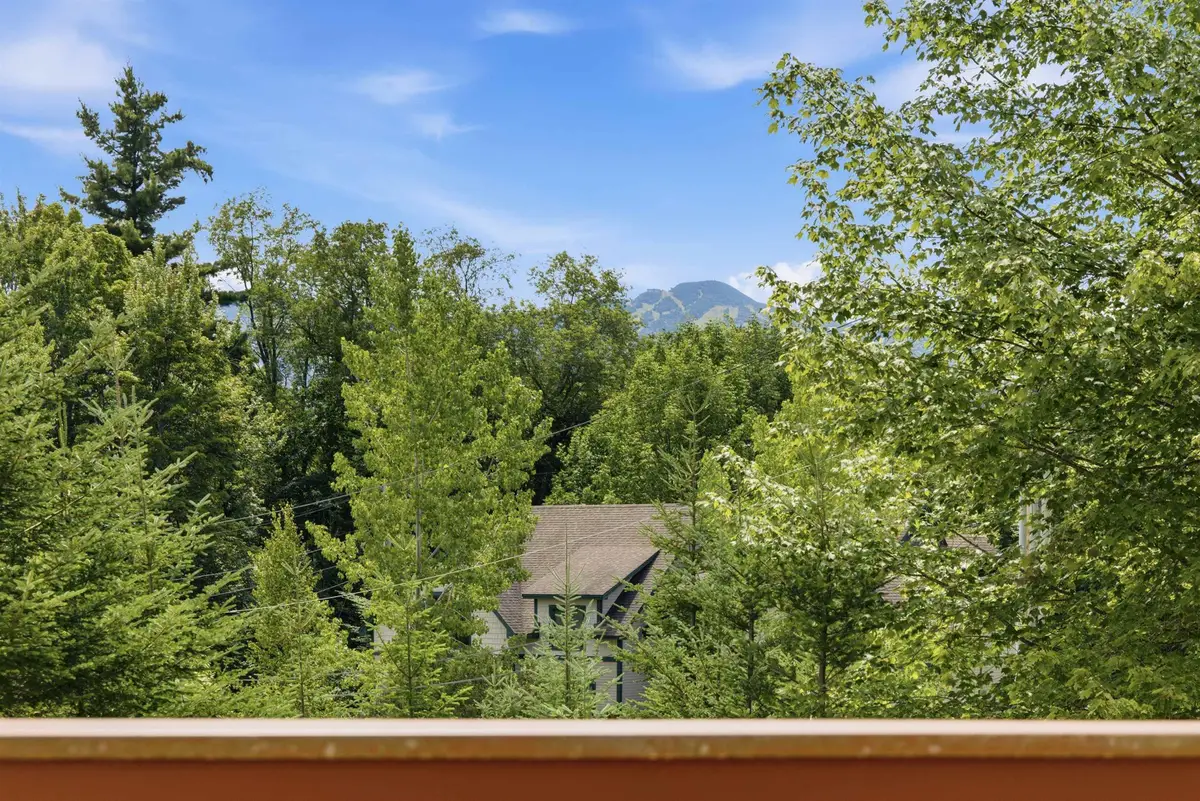 232 Burke Hollow Road #E-2, Killington, VT 05751 - #1