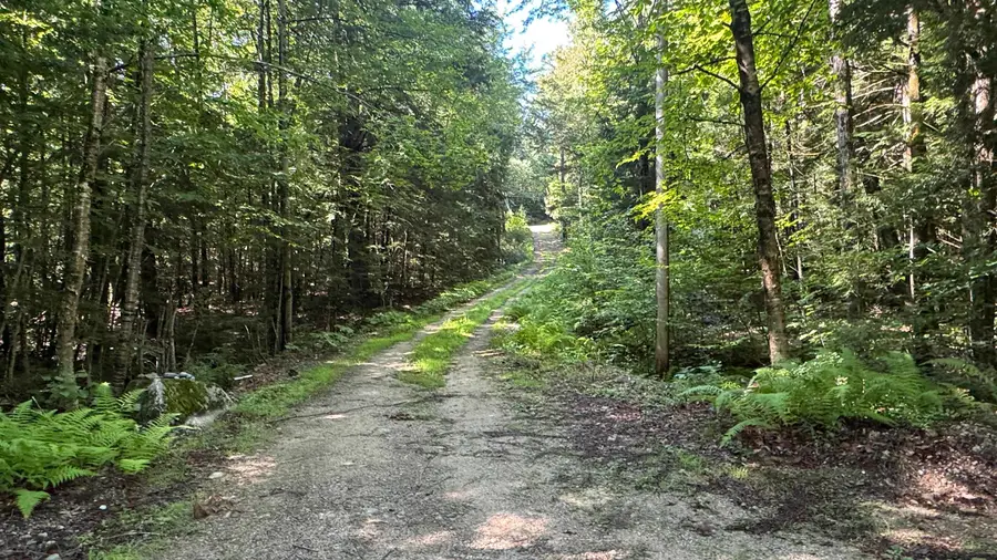 78 Valley Road, New Durham, NH 03855 - #2
