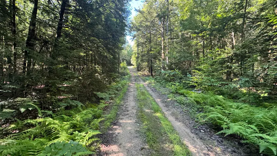 78 Valley Road, New Durham, NH 03855 - #3