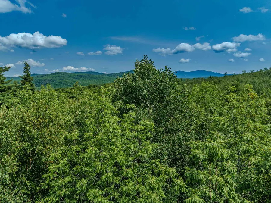 711 Gale Chandler Road, Landaff, NH 03585 - #2