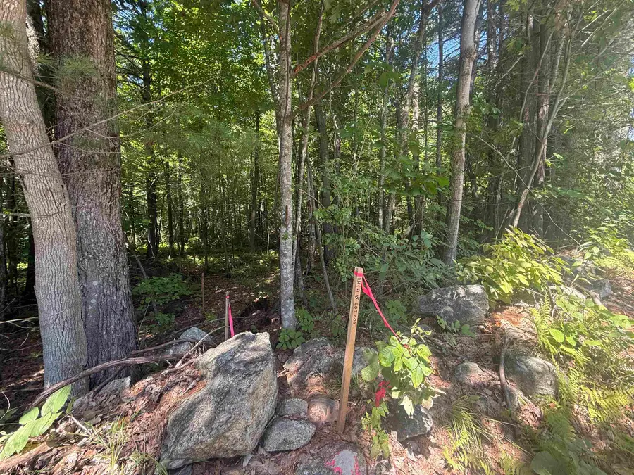 Lot 51-5-2 Ball Hill Road, Milford, NH 03055 - #2