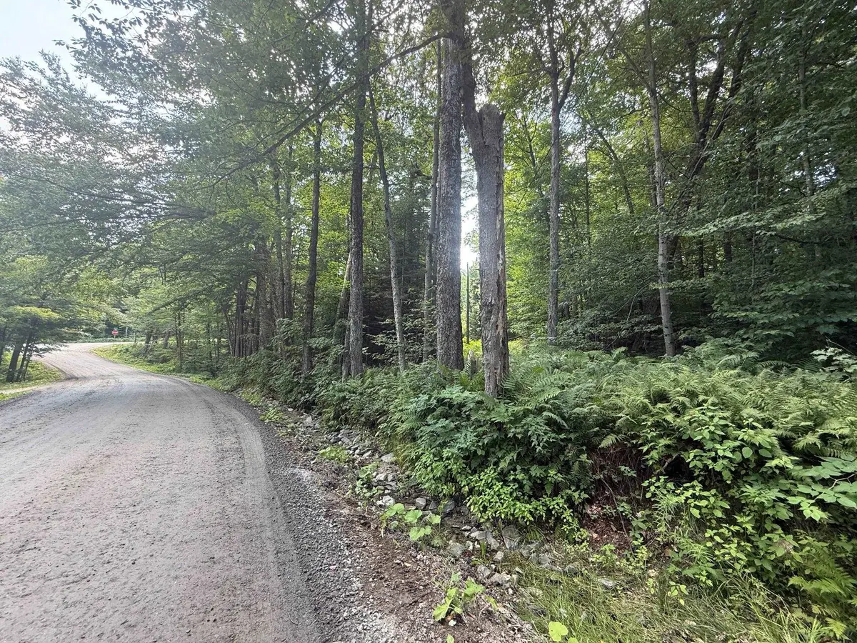 Penny Avenue, Stratton, VT 05155 - #1