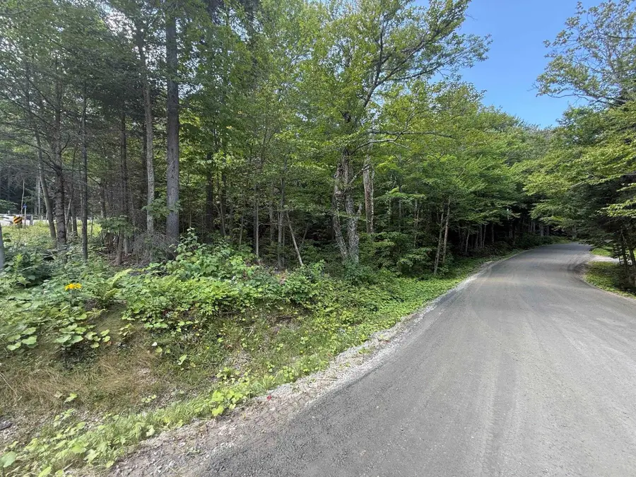 Penny Avenue, Stratton, VT 05155 - #3