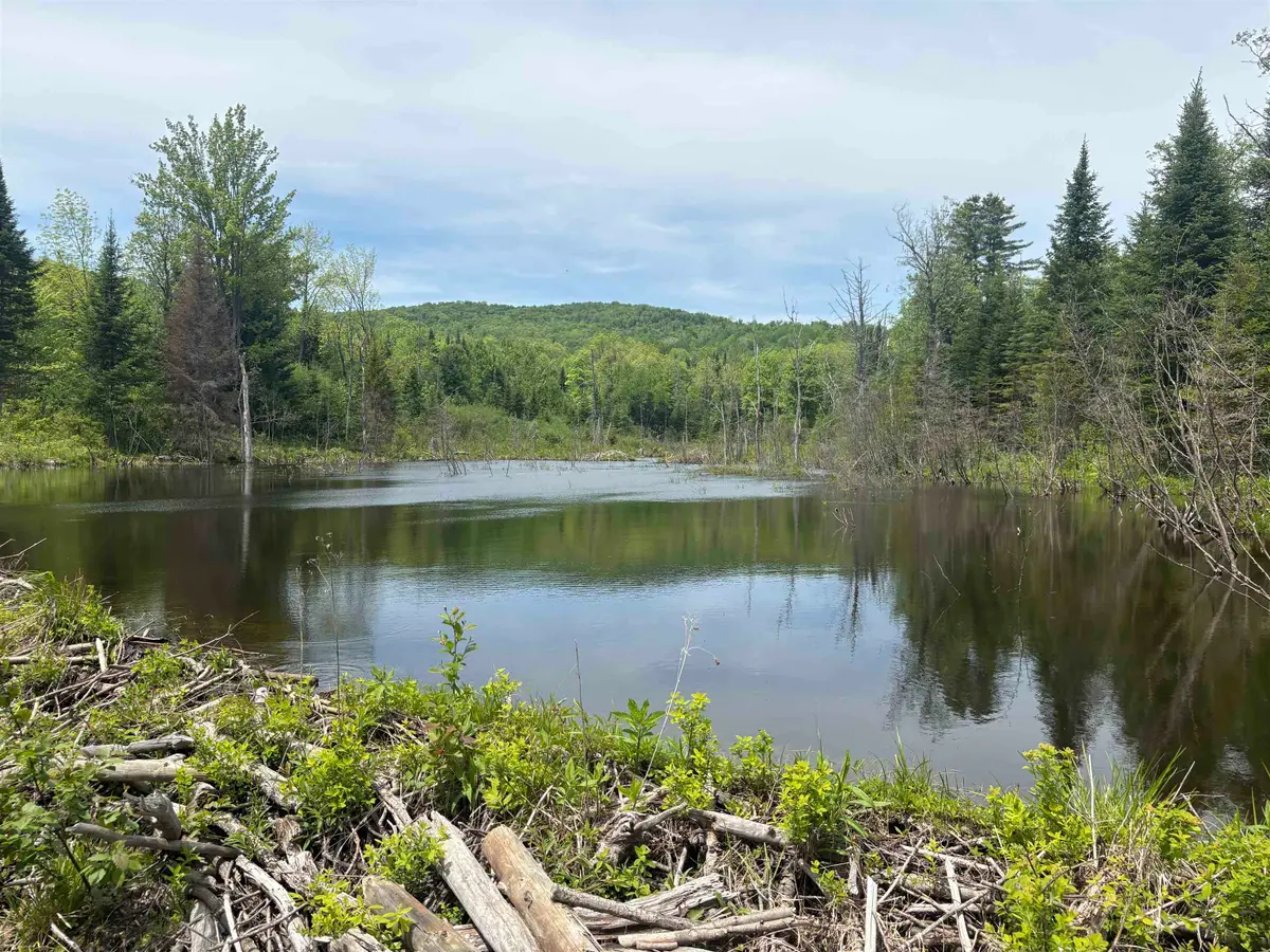 0 Old Pond Hill Road, Lunenburg, VT 05906 - #1