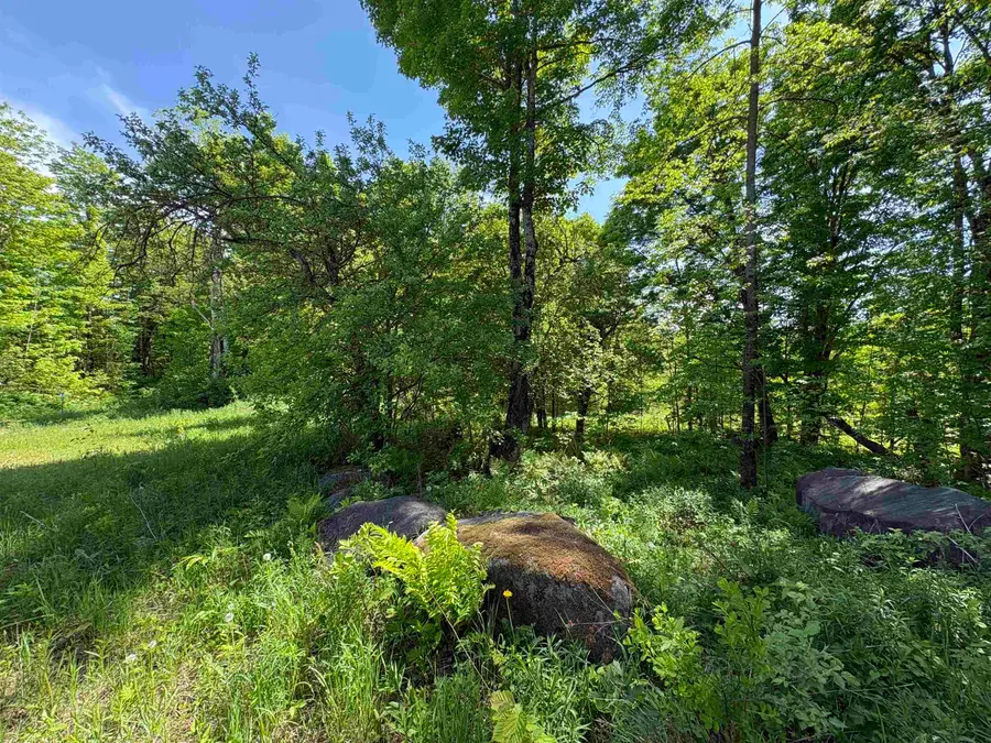 0 Old Pond Hill Road, Lunenburg, VT 05906 - #2