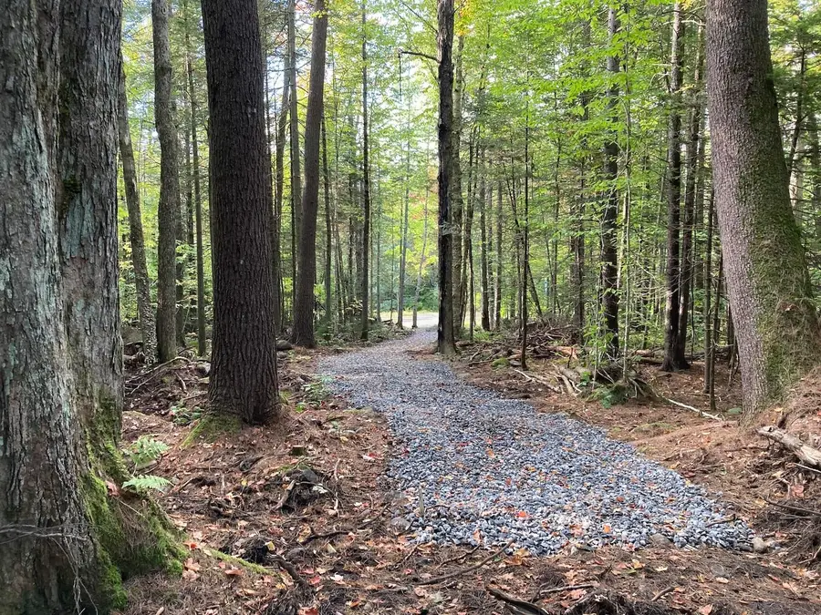 905 NH Route 118, Groton, NH 03266 - #3