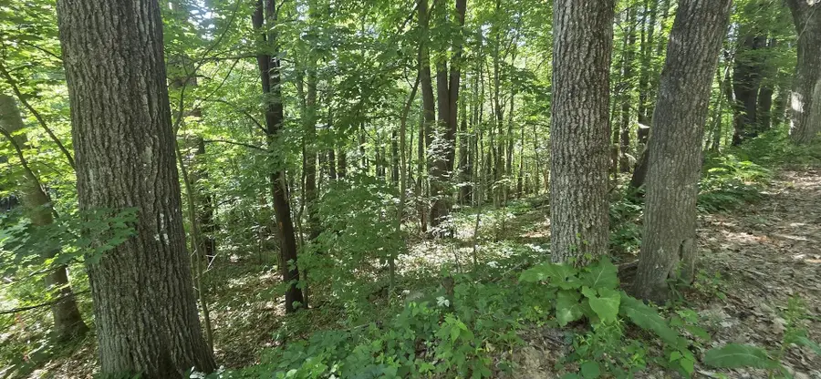 Map 101 Lot 18 Berry River Road, Barrington, NH 03825 - #3