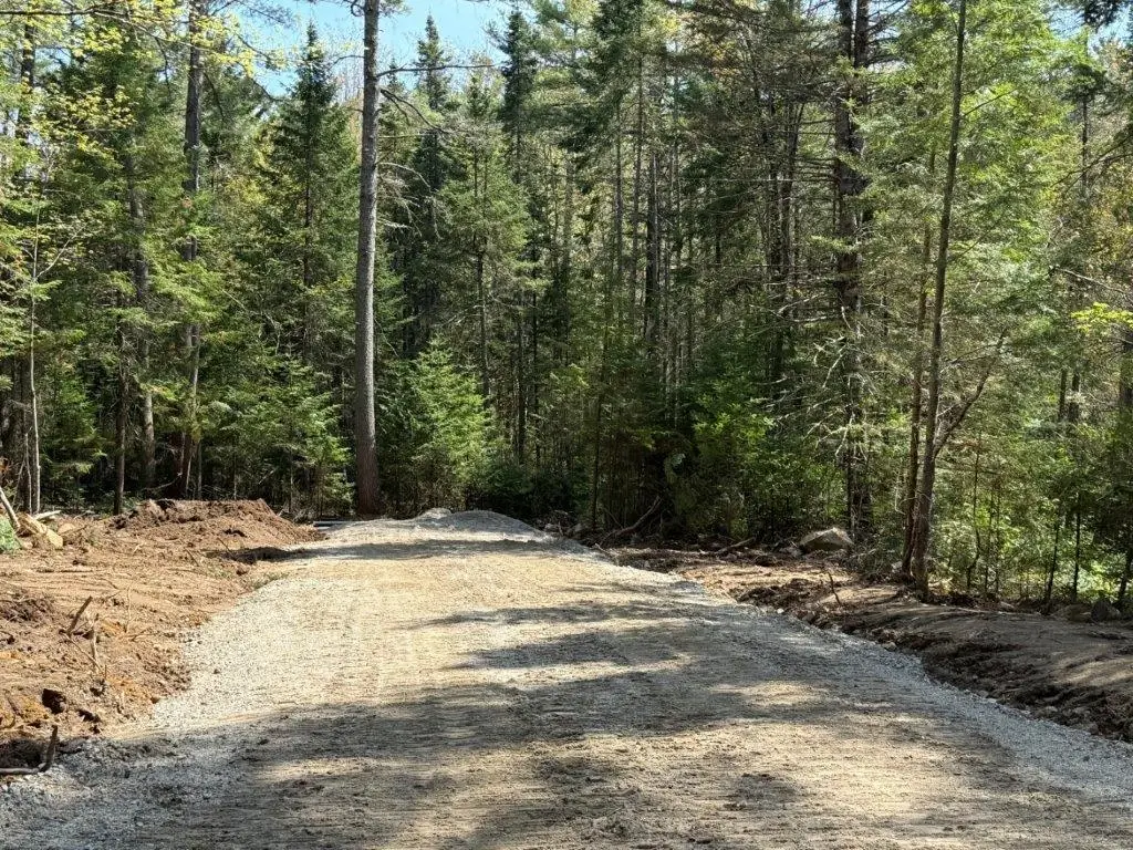Lot 4 NH Route 4A, Grafton, NH 03240 - #1
