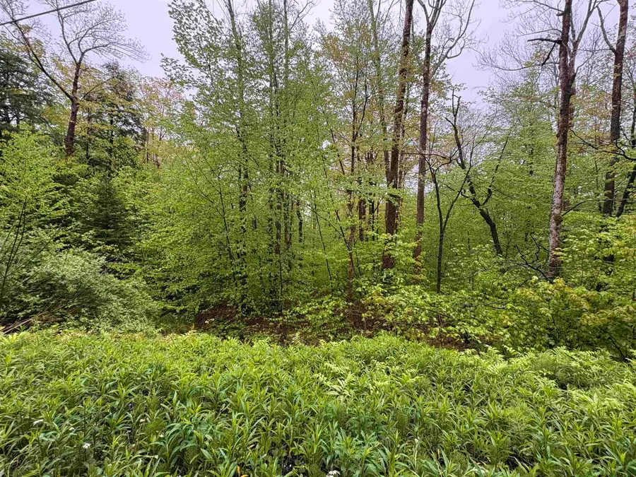 0 Bergrucken Lane #6-377, Stamford, VT 05352 - #3