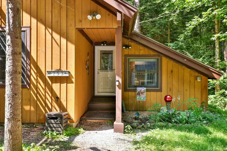 253 Lookout Road, Pittsfield, VT 05762 - #2