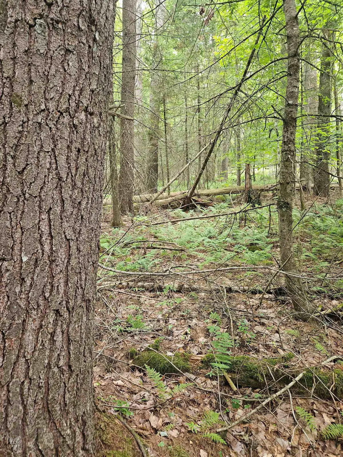 00 Straford Drive, Mountain Lakes, NH 03785 - #1