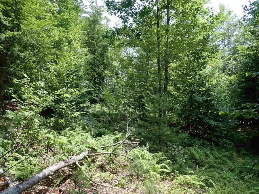 0 South Hill Road, Jamaica, VT 05343 - #2
