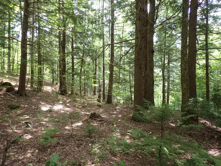 0 South Hill Road, Jamaica, VT 05343 - #3