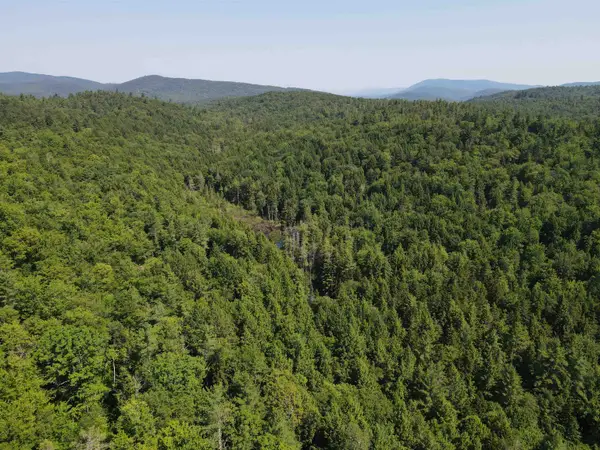 0 Schoolhouse Road, Jamaica, VT 05343