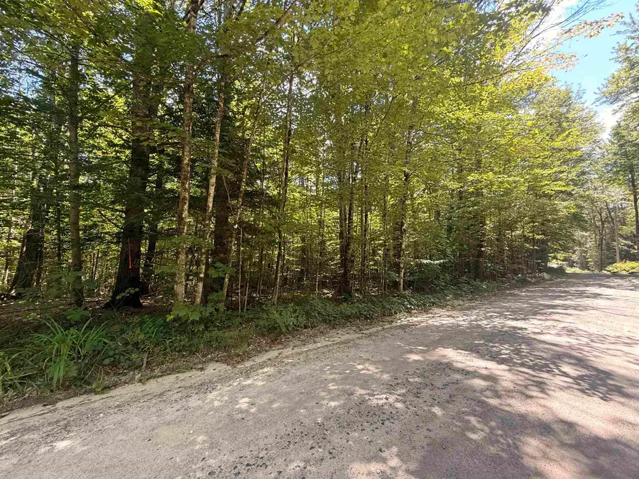 115 Forbes Mountain Road #3, Danbury, NH 03230 - #2