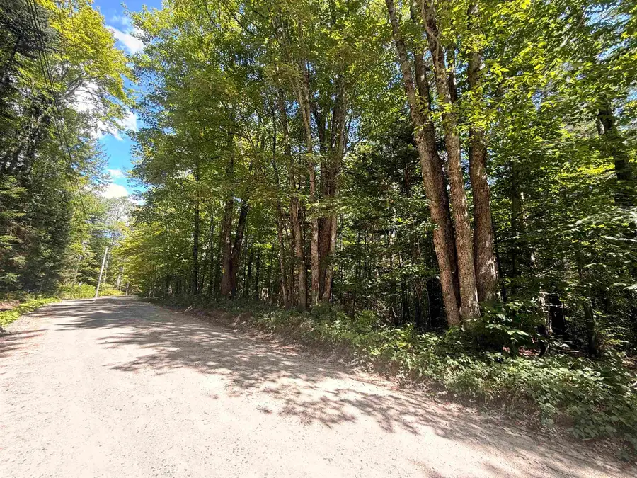 115 Forbes Mountain Road #3, Danbury, NH 03230 - #3