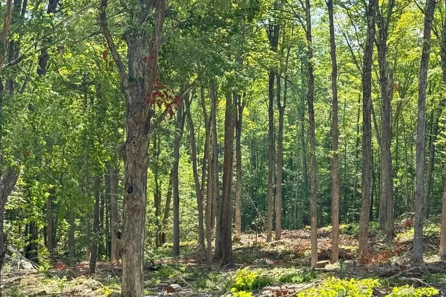 Lot 9-1 Roxbury Road, Sanbornton, NH 03269 - #2