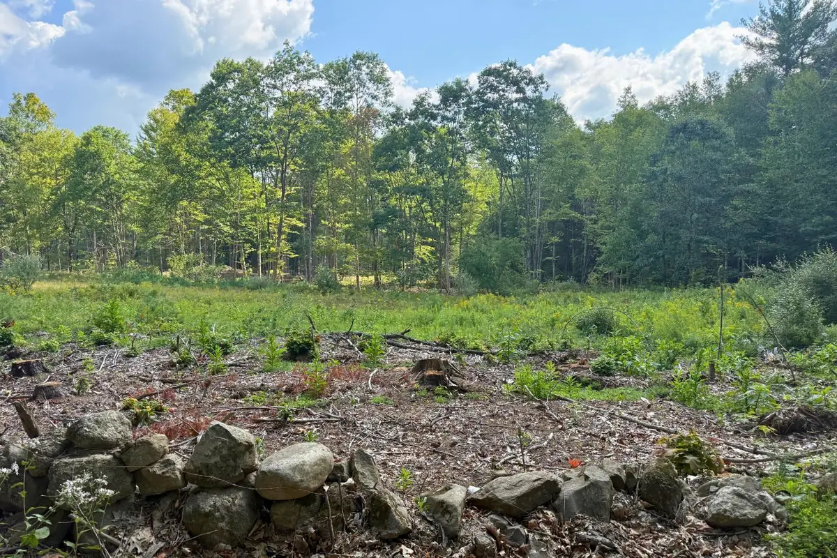 Lot 9-2 Roxbury Road, Sanbornton, NH 03269 - #1