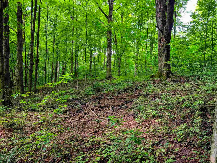 Lot 2 Winterbottom Road, Saint George, VT 05495 - #3