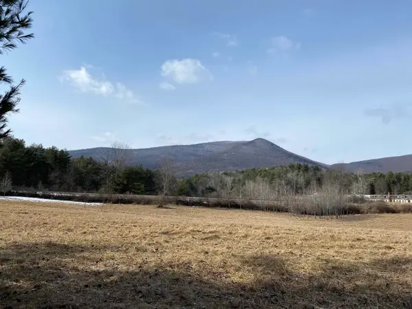 01 Old Depot Road, Arlington, VT 05250