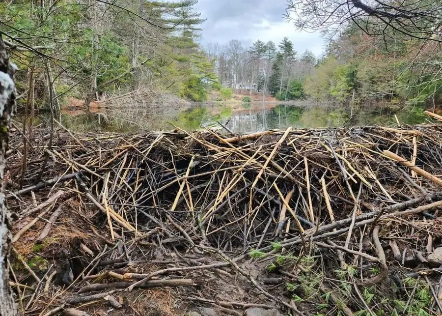 Map 122 Lot 69 Off Sawyer Lake Road, Gilmanton, NH 03237 - #3