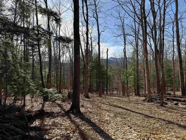 00 Conway Road #46, Madison, NH 03849