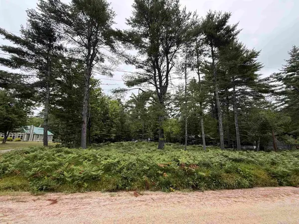 00 Birchwood Farm Road #24, Freedom, NH 03836