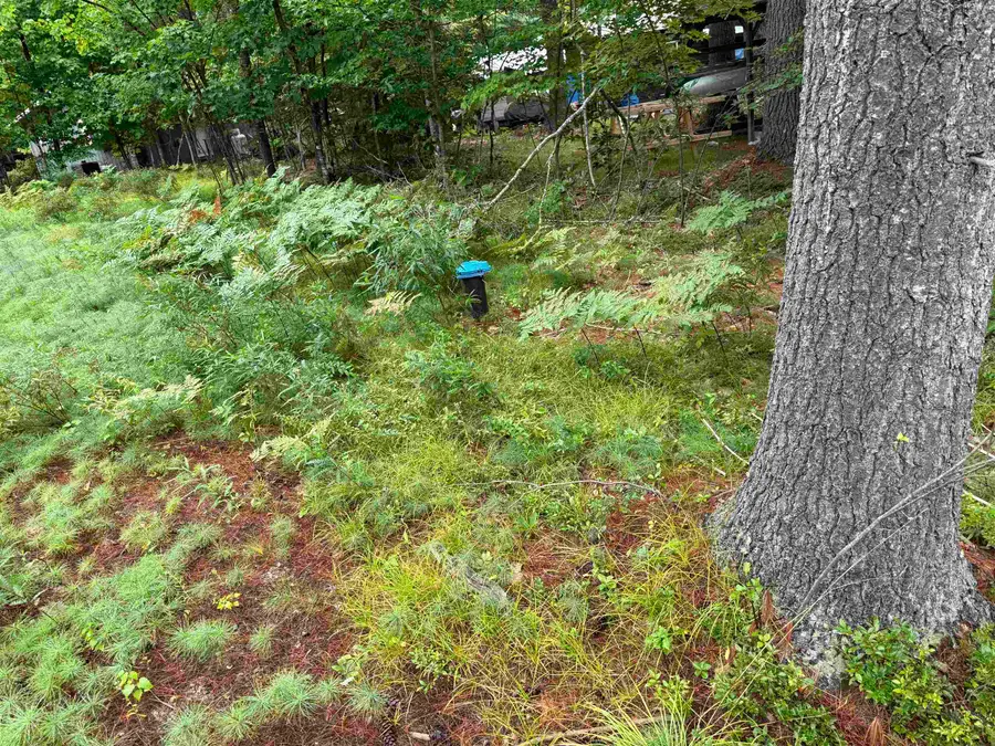 00 Birchwood Farm Road #24, Freedom, NH 03836 - #3