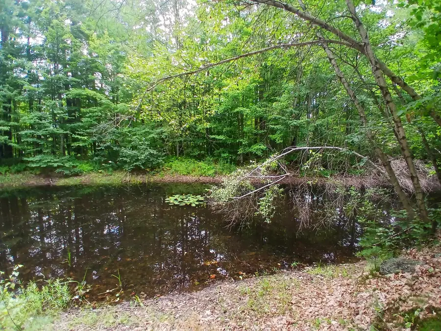 34 Wild Meadow Road, Grafton, NH 03240 - #2