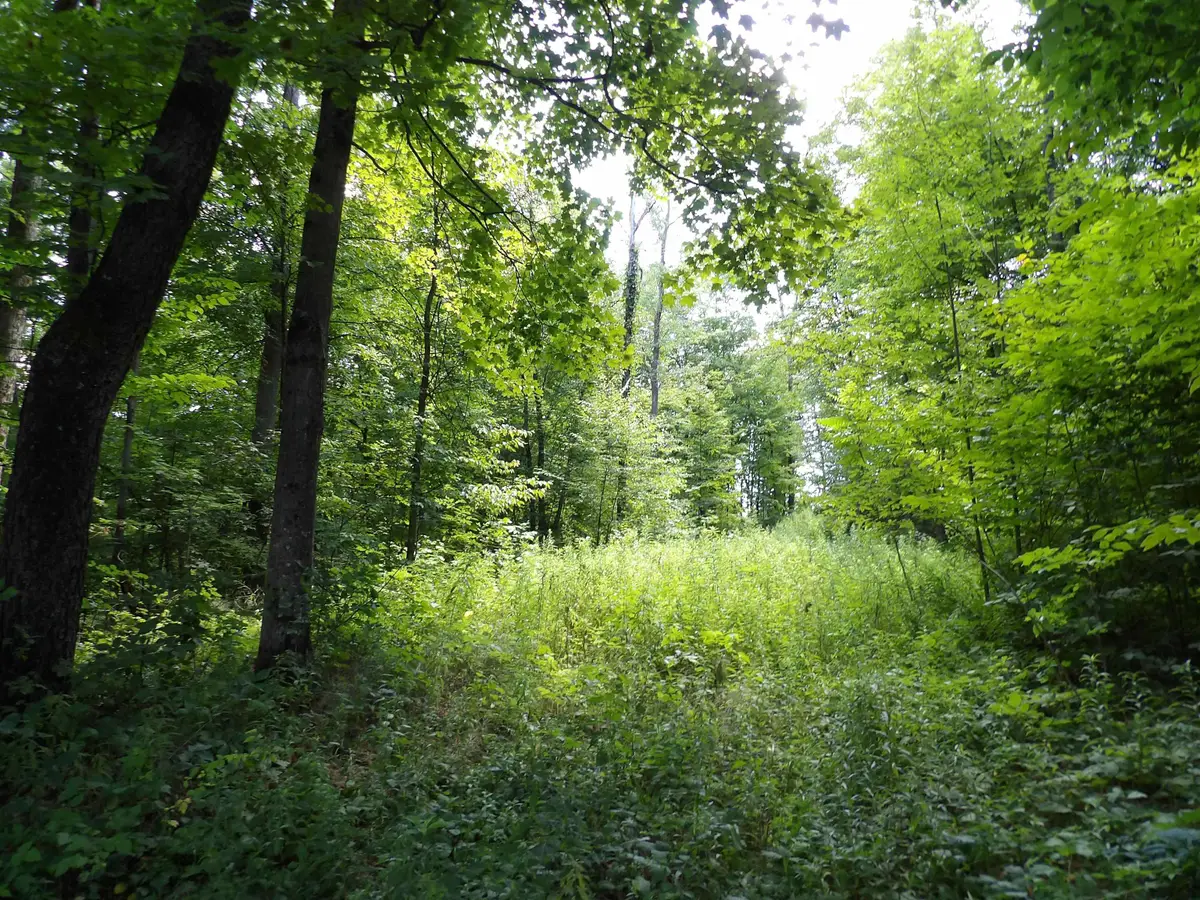 20 Center Street, Proctor, VT 05765 - #1
