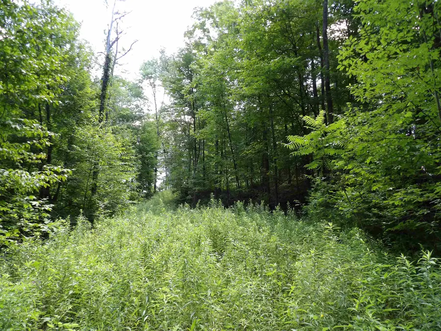 20 Center Street, Proctor, VT 05765 - #2
