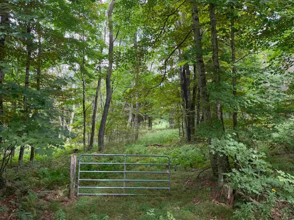 700 Taplin Hill Road, Corinth, VT 05039