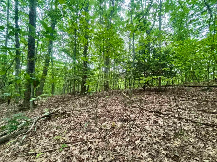 55-10 Longwood Drive, Greenfield, NH 03047 - #2