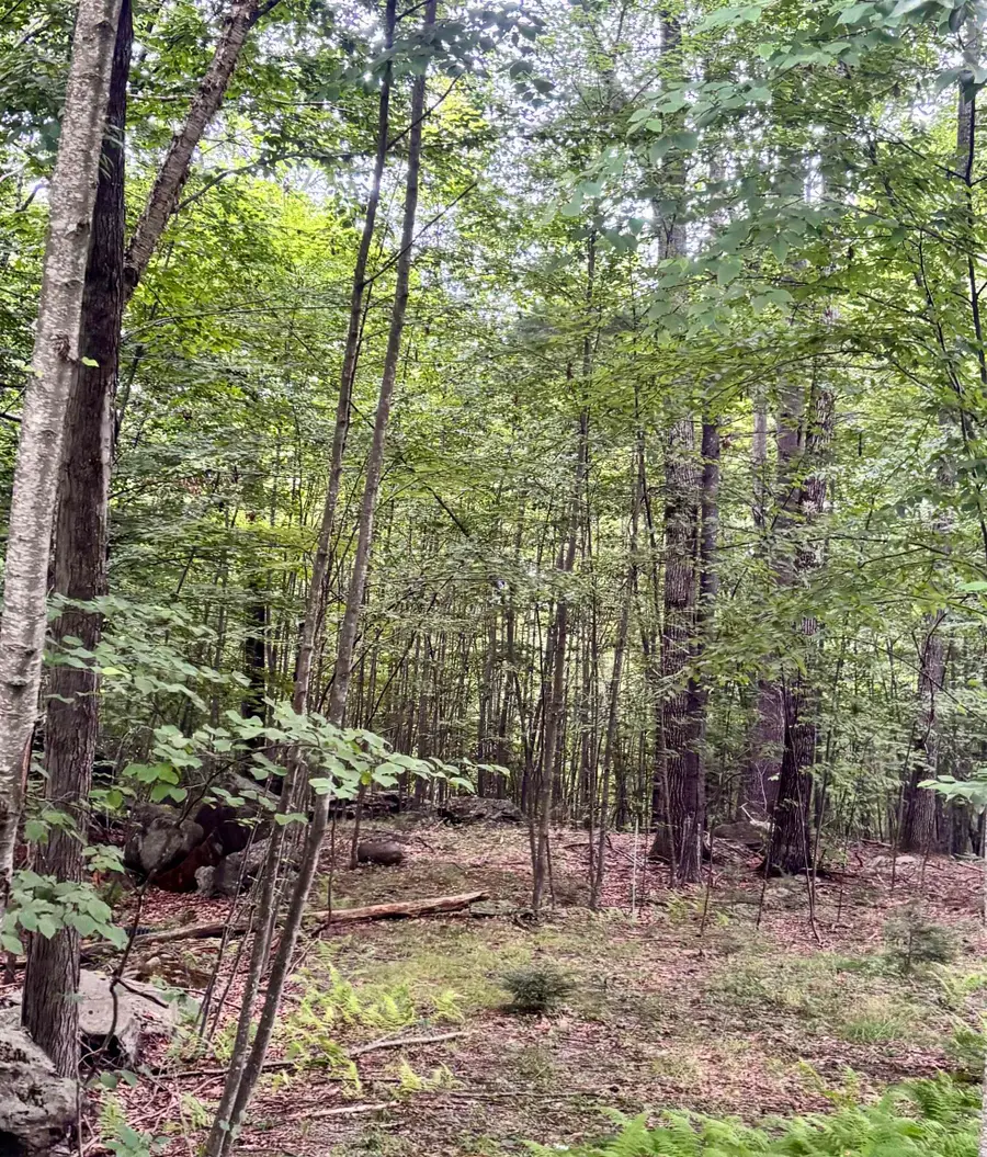 55-10 Longwood Drive, Greenfield, NH 03047 - #3
