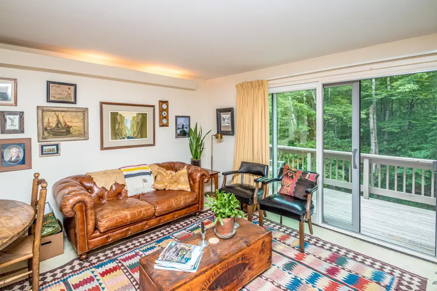 47 Dana Place Road #8, Jackson, NH 03846 - #3